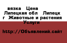 вязка › Цена ­ 10 000 - Липецкая обл., Липецк г. Животные и растения » Услуги   